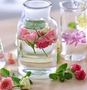 Dalla natura, vita: un vaso con rose e foglie di menta